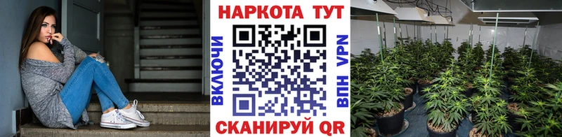 Где купить наркоту Прохладный COCAIN Мефедрон Alpha PVP Каннабис ГАШ