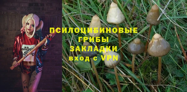 спайс Алексеевка