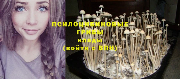 бутират Алзамай