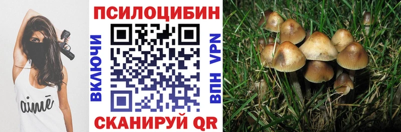 Галлюциногенные грибы мицелий Прохладный