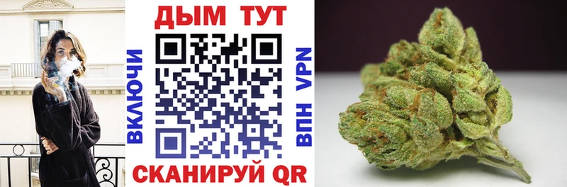 Бошки Шишки SATIVA & INDICA  купить наркотики цена  Прохладный 